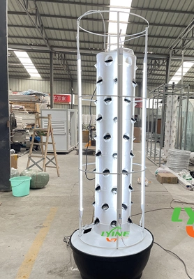 Australialainen asiakas muuttaa puutarhan 6P10 Hydroponic Tower -järjestelmällä 1