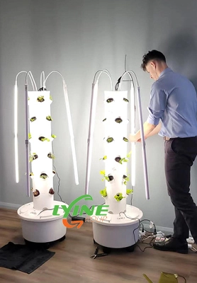 Australian Customer Put Hydroponic Tower System In Office 1