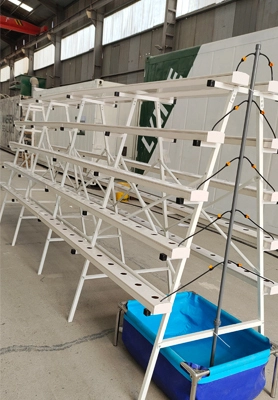 Un cliente griego prueba el sistema NFT hidropónico tipo A 1