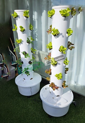Italian hydroponics newbie tries out tower system 1