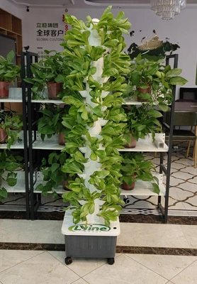 U.S. Cliente: hidroponía de hojas verdes con sistema de torre 5P14. 1