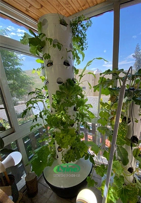 Jordanian customer uses tower system to grow vegetables at home hydroponically 1