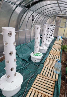 Small domestic greenhouses in Spain 1