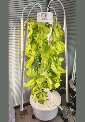 Ruotsalainen 4P6 Hydroponic Tower System - Soveltuu jälleenmyyntiin 1