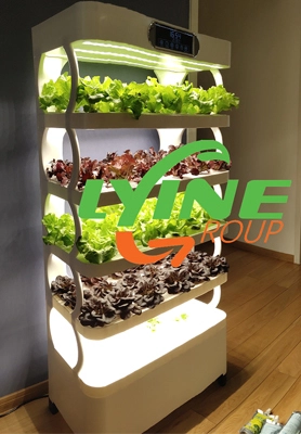 Gabinete de cultivo hidropónico de interior de Tailandia 1