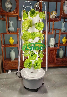 Australia: Distributable hydroponic tower system 1