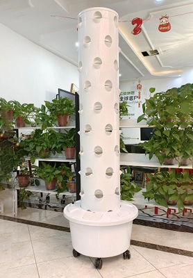2 x 6p9 hydroponic tower systems in the USA 1