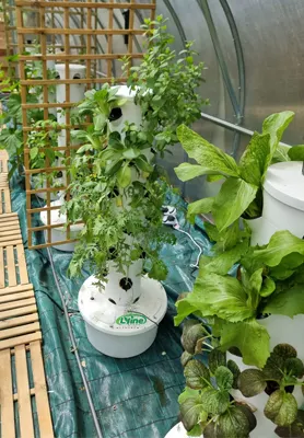 Bulk Osta Indoor Hydroponic Garden Tower 2