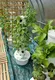Bulk Osta Indoor Hydroponic Garden Tower 2