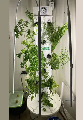 Produzione Lyine del sistema di torri idroponiche 2
