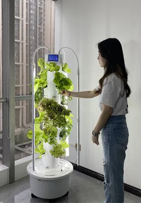 Túr Gairdín Hydroponic Fearr Cuideachta Túr Gairdín Hydroponic 2