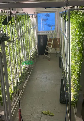Indoor Tower Garden Growing System Suppliers 2