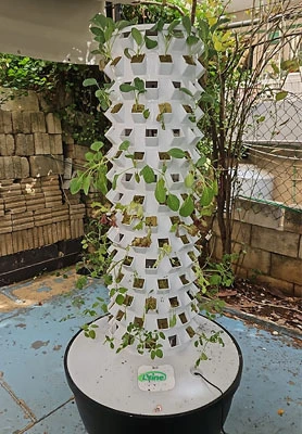 Lebanese 12P domestic hydroponic tower system 1