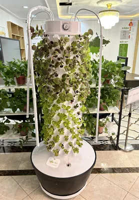 Reliable Vertical Tower Hydroponic System Vertical Tower Hydroponic System Company 2