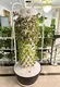 Reliable Vertical Tower Hydroponic System Vertical Tower Hydroponic System Company 2