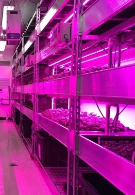 Lyine Hydroponic Container 1