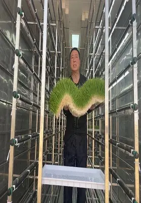 Top Indoor Hydroponic Garden Tower Price List 2