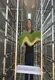 Top Indoor Hydroponic Garden Tower Price List 2
