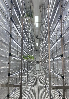 Contenedor de cultivo de hortalizas de Dubai 1