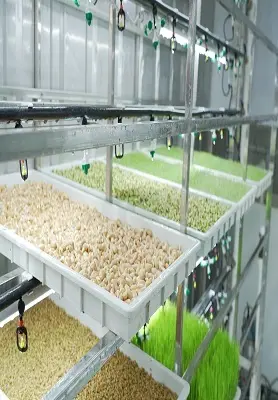 Hydroponic Tower - - Lyine 2