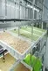 Hydroponic Tower - - Lyine 2