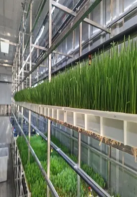 Hydroponic Tower by Lyine 2