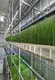 Hydroponic Tower by Lyine 2