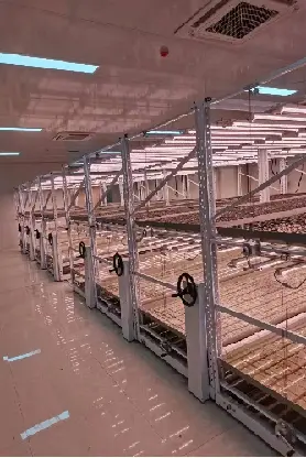 Reliableindoor Hydroponic Tower System 2