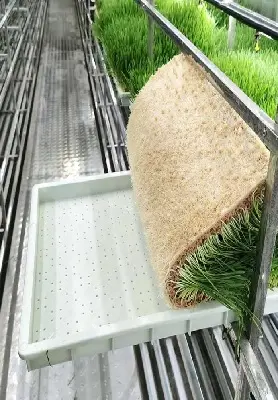 Topbest Hydroponic Tower System 2