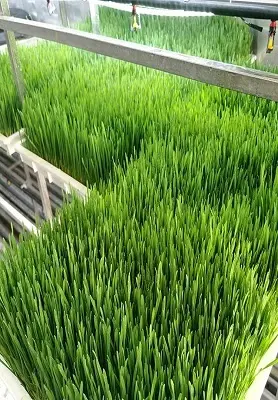 Hydroponic Tower Makers-1 2