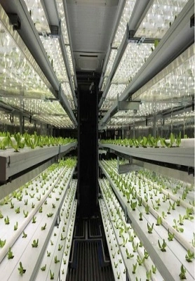 Container Farming in Malaysia 1