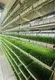 Top Hydroponic Indoor Garden Tower Společnost Hydroponic Indoor Garden Tower Company 2