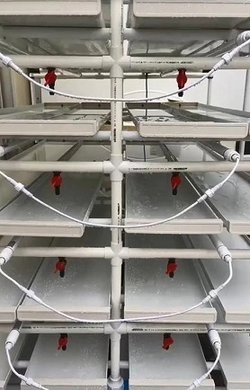 American Hydroponic Seedling Rack System 1