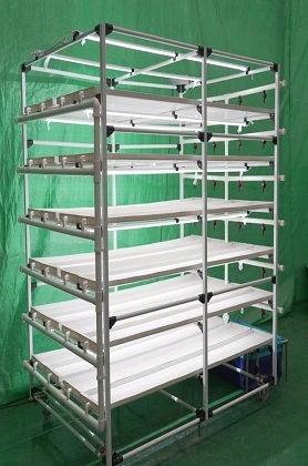 Australian Microgreen rack hydroponic system 1