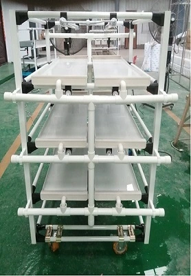 Sistema Microverde Hidropónico Peruano 1