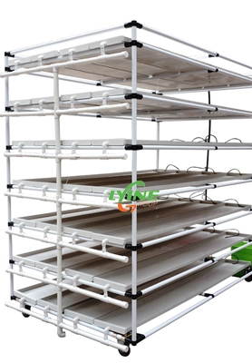 Un cliente australiano compra tres sistemas Microgreen 1