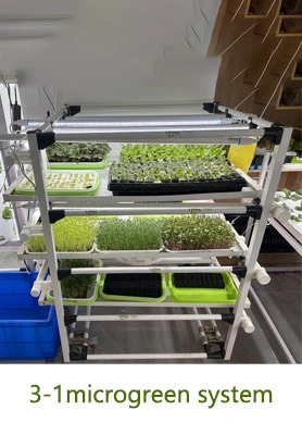 Japan 3-1 microgreen system with light 1