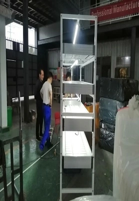Australian Ebb And Flow Table 1