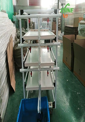One Microgreen System For Croatian Customers 1