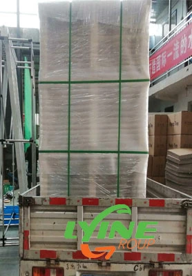 Carga y entrega de cubos holandeses y sistemas microverdes para clientes húngaros 1