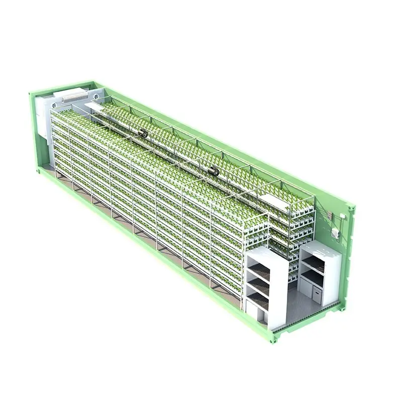 Fraktcontainer Farm Bulk Köp LYINE Lyine 6