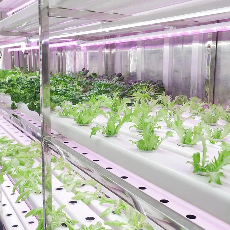 Fraktcontainer Farm Bulk Köp LYINE Lyine 2