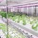 Fraktcontainer Farm Bulk Köp LYINE Lyine 2