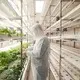 Fraktcontainer Farm Bulk Köp LYINE Lyine 3
