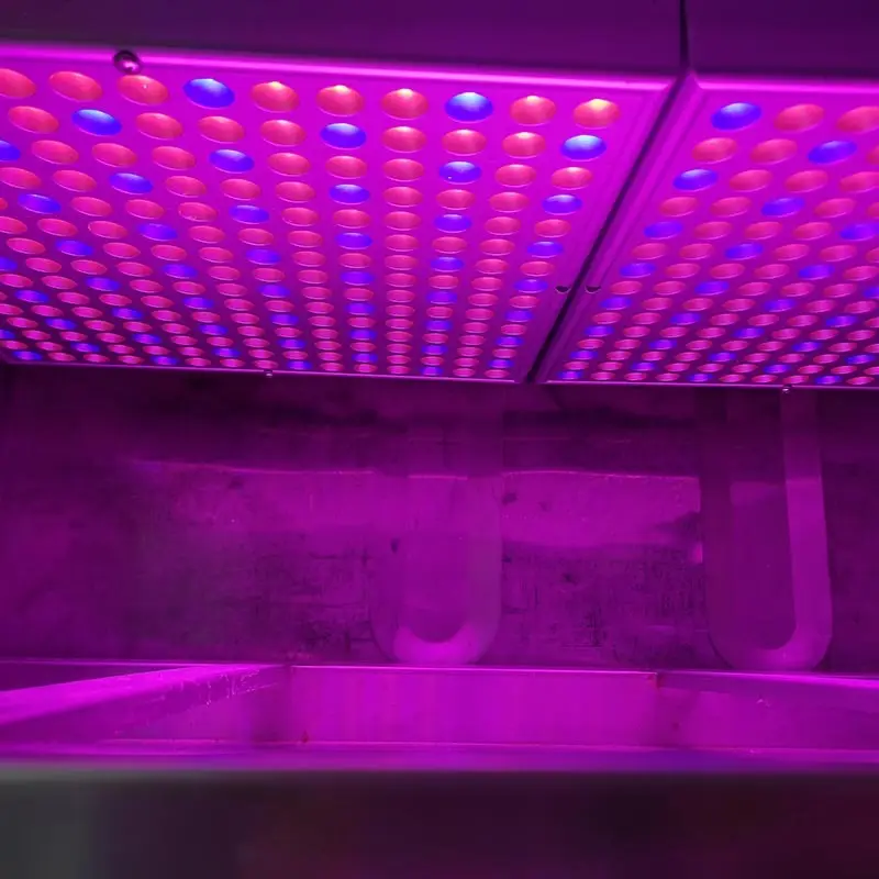 Fraktcontainer Farm Bulk Köp LYINE Lyine 4