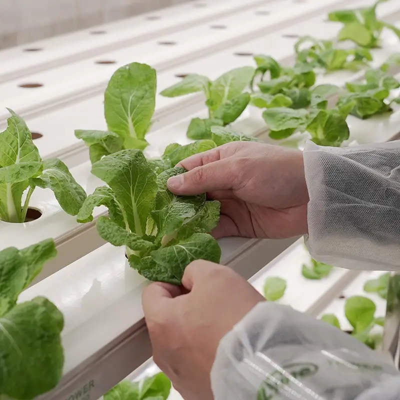 Fraktcontainer Farm Bulk Köp LYINE Lyine 5