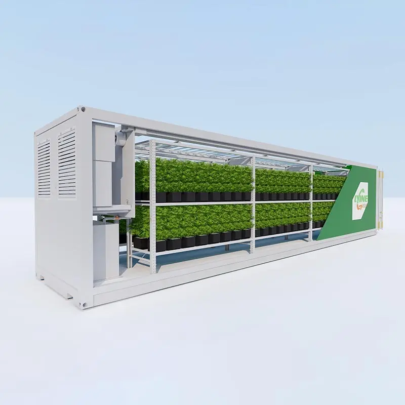 Shipping Container Hydroponic Farm TTsuppliers 2