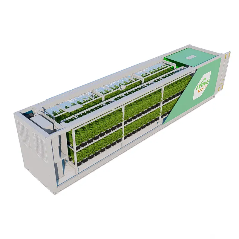 Shipping Container Hydroponic Farm TTsuppliers 6
