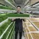 Hydroponic Shipping Container for Sale LYDM-1000 CEwholesaler 2