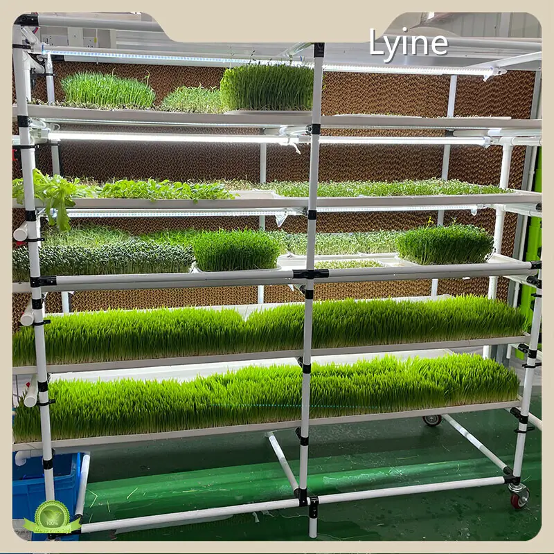 Top Seedling Grow Rack Supply 1